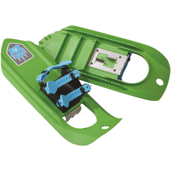 Dino Green-swatch